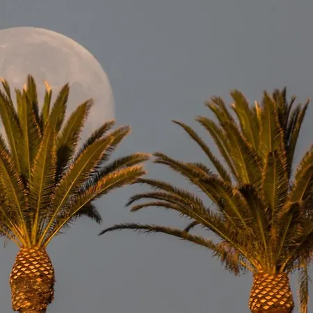 アパート Atlantic Dawn Playa Cancajos.- BreNa Baja (la Palma)