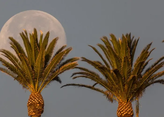 Apartamento Atlantic Dawn Playa Cancajos.- BreNa Baja (la Palma)